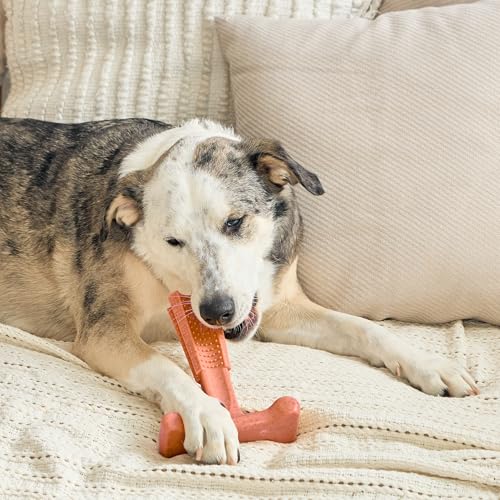 SPOT Bam-Bones Plus T-Bone Dog Chew, Beef, 7in, 60-90 lb Heavy Chewers - size: Large