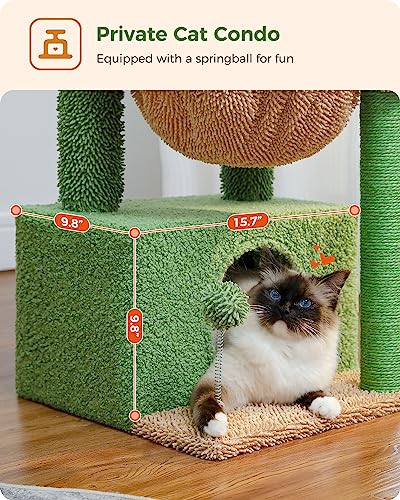 PEQULTI 4-in-1 Cactus Cat Tree for Kittens & Small Cats, 33in Green Tower - color: Green, size: L(15.8"L x 15.8"W x 33"H)