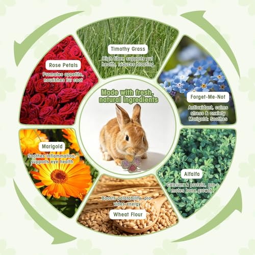 Abizoo Rabbit Chew Toys, Natural Four-Leaf Clover Herbal Edible Treats