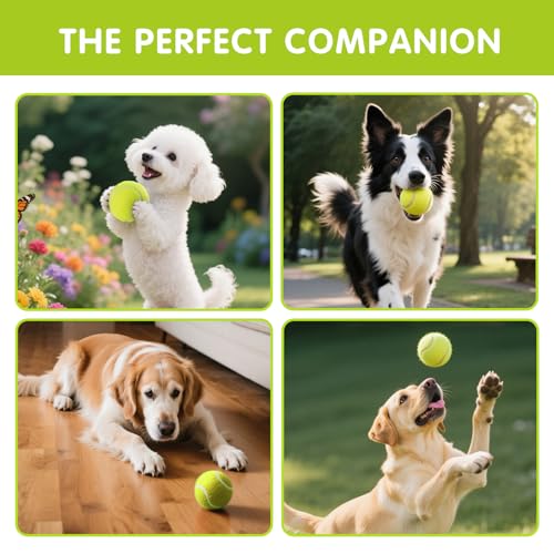 PHOEPET 6-Pack Tennis Balls for Beginner Training Practice- Bulk Dog Balls - color: Yellow - 6 Pack, size: Medium 2.5"- 6 Pack