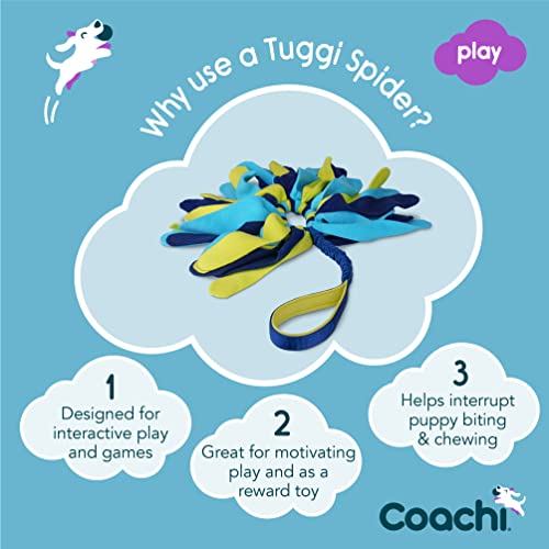 Coachi Tuggi Spider - Interactive Dog Toy for Tug of War & Play - style: Tuggi Spider