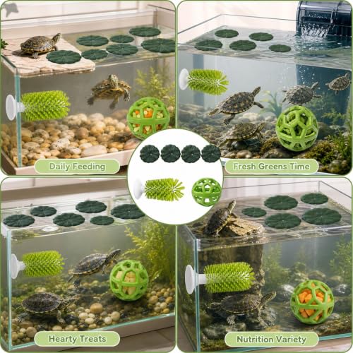 7PCS Turtle Brush Set with Suction Cup, Turtle Tank Enrichment Tools for Aquatic Habitats, Feeding Stimulation and Shell Cleaning Accessories