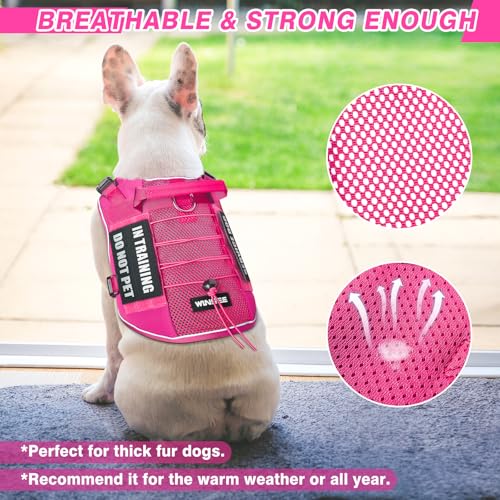 WINSEE Service Dog in Training Mesh Harness with 10 Removale Pet Patches - color: Pink, size: Medium