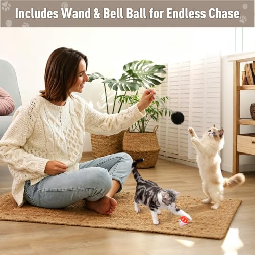 Zayeemi Cat Scratching Educational Box Wooden Interactive Toy Spring Feather Teasing Cat Wand Bell Ball for Indoor Cat Fun