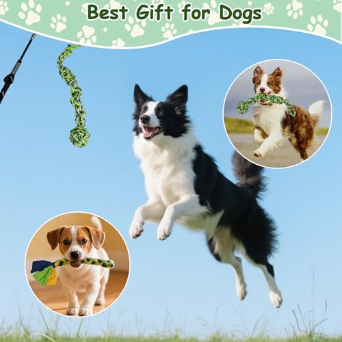 Flirt Pole for Dogs Heavy Duty, Interactive Chase & Tug of War Wand - color: green