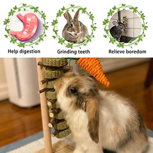 kathson Rabbit Chew Toys,Bunny Grind Teeth 100% Natural Organic Apple Wood Stick Improve Rodent Health Rabbits Hamsters Squirrel Guinea Pig(4 Pieces) - color: 【Style C】