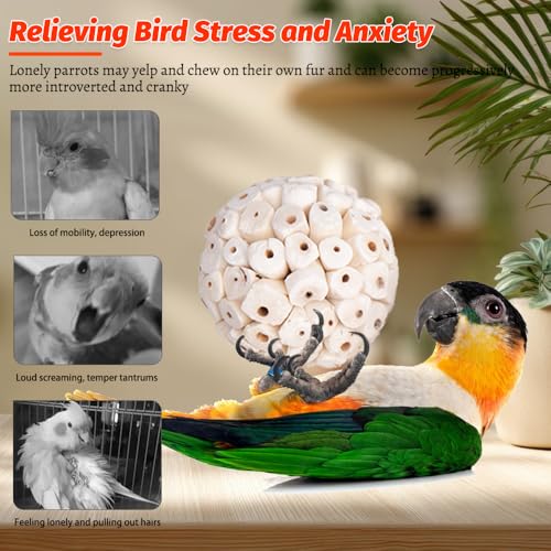 12 Pack Bird Toy Sola Balls, Natural Parrot Soft Chew Shredding & Foraging Toy, Bird Foot Balls for Cockatiel Conure Quaker Budgie Parakeet Bunny Guinea Pig Chinchilla Rabbit - size: 12
