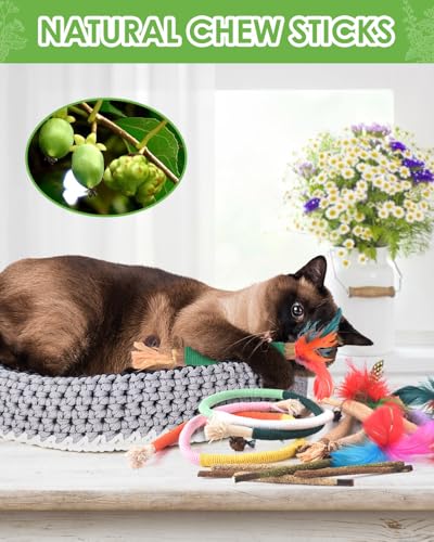 TINDTOP Cat Chew Toys, Silvervine Chew Sticks with 2 Pack Chew Ropes - color: 14 Pack