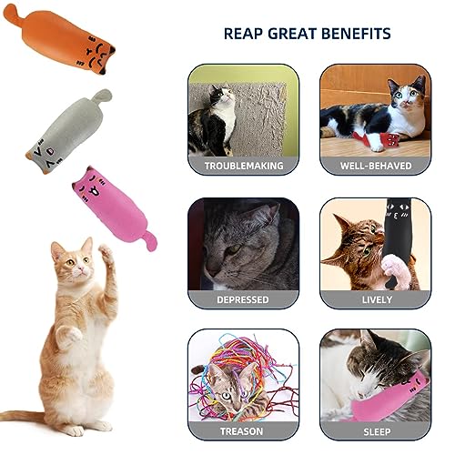 Soft Indoor Cat Toys Self Play Interactive Pillows Catnip Filled 5PCS Plush Kitten Teething Set Cute Kitty Chew Bite Resistant Cartoon Mouse Pet Supplies Gifts