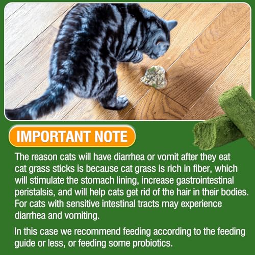 30g Cat Grass Sticks, Cat Grass Treats for Teeth Cleaning Hairball Removal