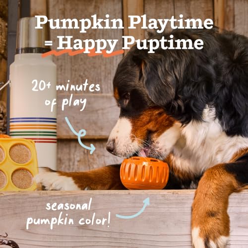 WOOF Pupsicle Interactive Dog Ball Toy for Dogs Large 25-75 lbs - Orange - color: Orange, size: Large