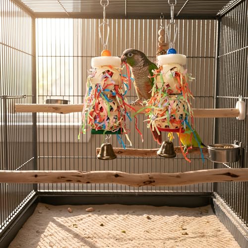 Bird Toys, 2pcs Set for Small & Medium Parrots