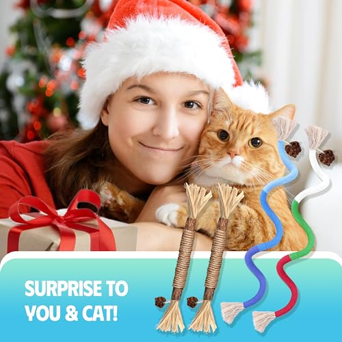 Silvervine Sticks Cat Chew Toys for Indoor Cats Dental Care Teeth Cleaning, Natural Kitten & Cat Teething Toys for Health, Catnip Toys Cat Chew Rope Suitable for All Breeds of Aggressive Chewers Cat - size: 1Pcs Chew Rope+1Pcs Silvervine Sticks