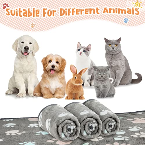 Tatuo 4 Pcs Fleece Dog Blankets for Puppy Cat, Dark Gray, 30 x 20.5 in, Paw - color: Dark Gray, size: 30 x 20.5 in