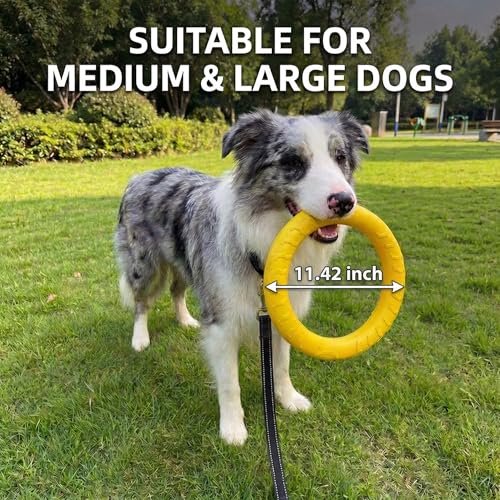 Dog Toys, Dog Chew Toys for Aggressive Chewers,Flying Discs for Medium/Large Breeds. Floating Dog Ring Toys for Throwing, Catching, Grabbing. (Large) - size: Large