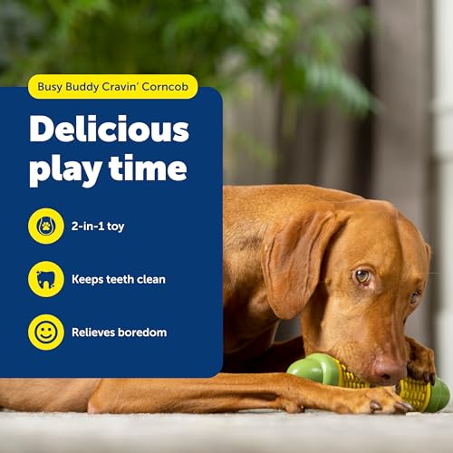 PetSafe Busy Buddy Cravin Corncob Treat Holding Dog Toy, Medium/Large - size: Medium/Large