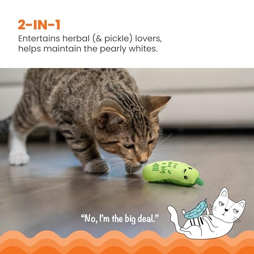Catstages Crunchy Pickle Kicker Cat Toy – Plush Crinkle Toy with Catnip and Dental Mesh, 6.5" (Pack of 2)