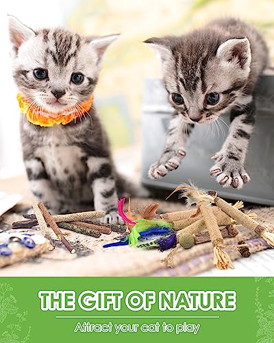 TINDTOP Silvervine Chew Sticks for Cats, 12 Pack Natural Catnip Chew Toys - color: 12 Pack