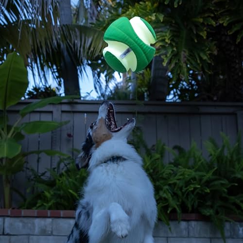 Chuckit! Kick Fetch Max Glow Ball, Large (8 Inch) Glow in the Dark Dog Toy - size: Large, style: Max Glow