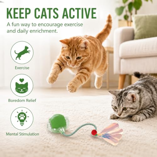Interactive Cat Toy Ball with LED Lights – USB-C Rechargeable Automatic Cat Toy with Feather Tail for Indoor Cats & Kittens, Upgraded Version - color: Green ball