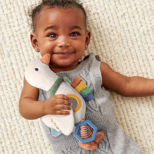 Itzy Ritzy Bitzy Traveler Baby Stroller & Car Seat Toy with Rattle (Goose) - color: Goose