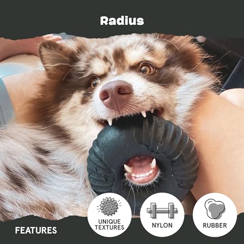 BarkBox Radius Super Chewer - Toy for Large Dogs - color: Radius, size: Medium/Large