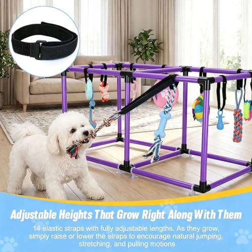 Purple Puppy Play Gym with 12 Hanging Toys - color: Purple, size: 19.5x38in
