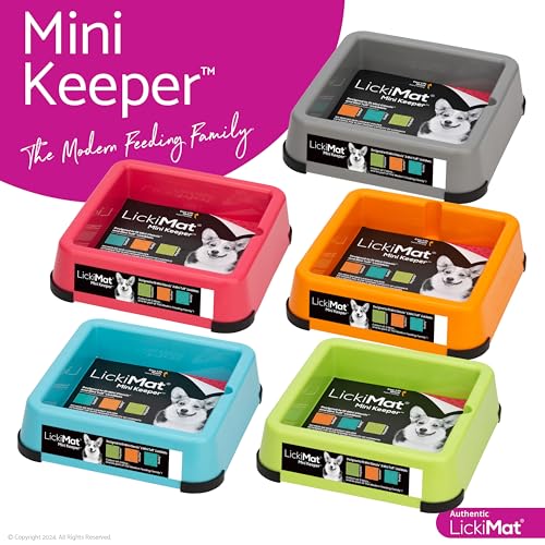 LickiMat Mini Keeper. Designed to Enhance LickiMat Experience and Extend LickiMat into Full Feeder for Small Dogs. (Turquoise) - color: Turquoise