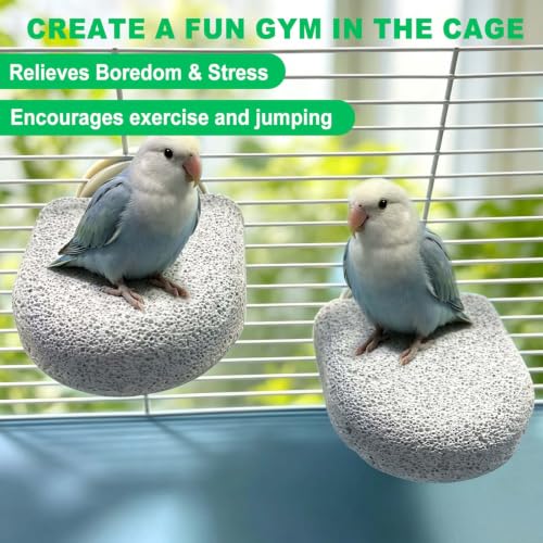 4Pcs Bird Beak Grinding Stone Lava Ledge Parrot Perch Stand Platform,Grey-S - color: 4Pack Grey | S