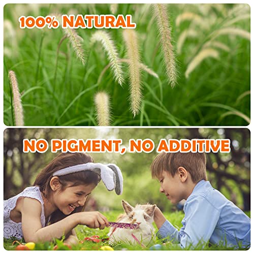 Sofier 32Pcs Timothy Hay Sticks 320g for Rabbit, Guinea Pig, Hamster - Natural Handmade Treats and Chews for Teeth - Chinchilla, Rat, Gerbil Toys