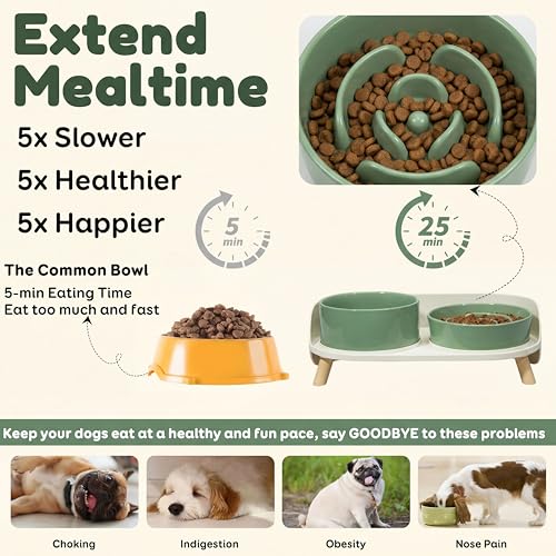 Elevated Slow Feeder Dog Bowls with Splash Proof Stand, Slow Eating 5X - color: Green