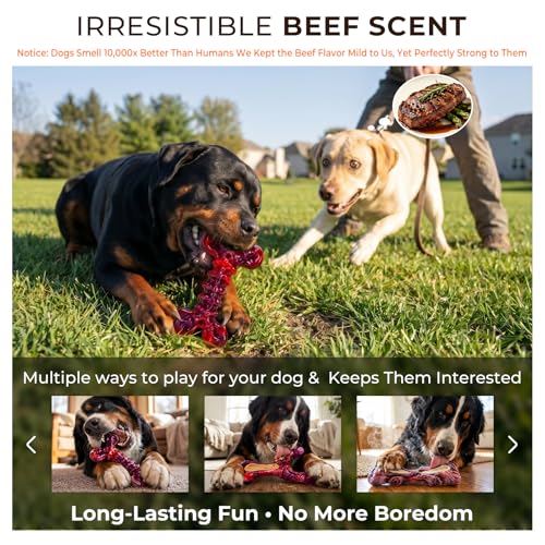 Kseroo 3-Pack Beef Flavored Dog Chew Toys for Aggressive Chewers, Red-XL - color: 3PC-Beef-Red