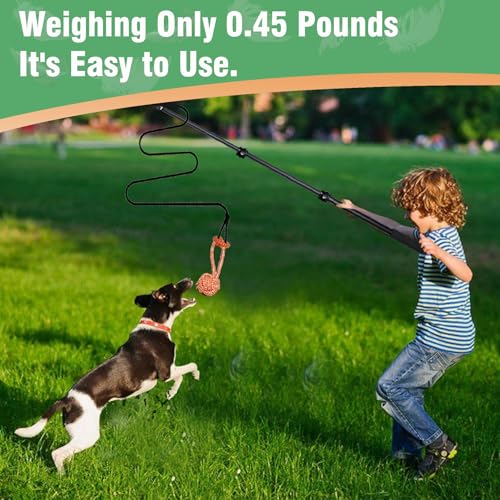 Flirt Pole for Dogs Heavy Duty 40inch Extendable Aluminum Alloy Dog Flirt Pole for Large/Medium/Small Dogs,Interactive Dog Toys for Indoor/Outdoor - size: 40in/3-section