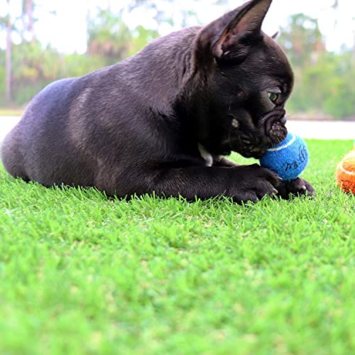 Midlee Mini Dog Tennis Balls, 1.5", Assorted Colors, Set of 25