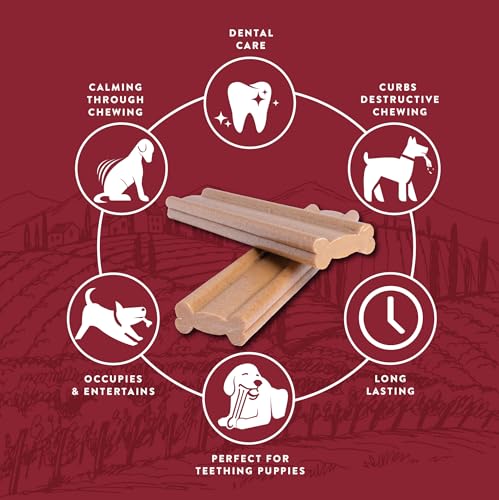 Real Tuff | Chew Toy for Large Dogs | Long Lasting for Aggressive Chewers | Bacon Flavor | 1 Count