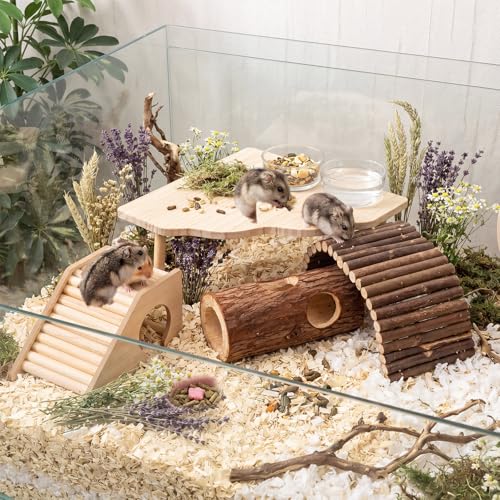 Breezehug 4 Pcs Hamster Cage Accessories Hamster Platform Toy, Hole - style: Tree Hole