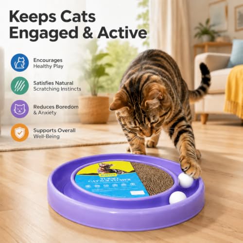 Cat Scratcher Toy Ball Track (Purple) - color: Purple