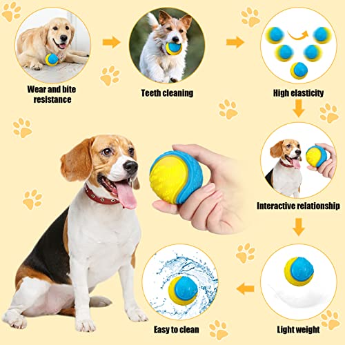DragonflyDreams Dog Balls, 4-Pack Squeaky Dog Ball