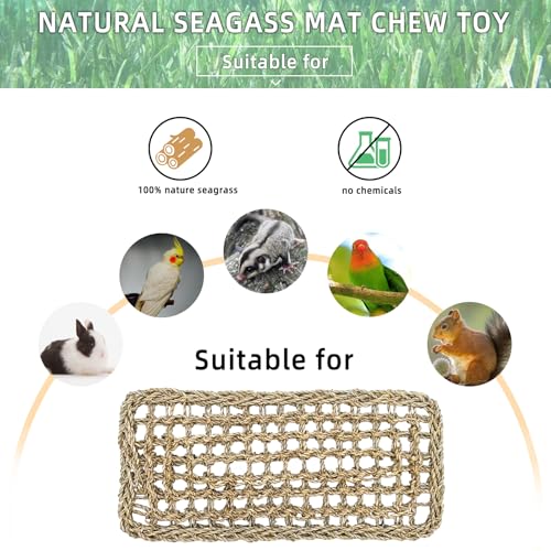 Bird Seagrass Mat 16 × 7" Parrot Natural Grass Woven Net Hammock Parakeet Climbing Rope Ladder Mat Chew Toys Cage Accessories for Pigeon Cockatiel Conure Budgie Cockatoo Rat Hamster - size: 1Pc 16" × 7"