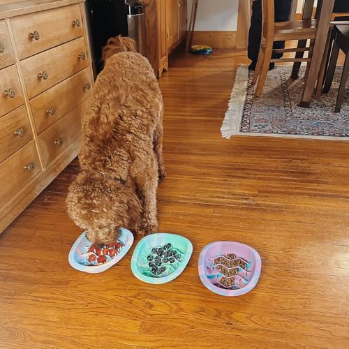 CHEWFFON Dog & Cat Lick Mat Bowls with Suction Cups, Rainbow - color: Rainbow, size: Large