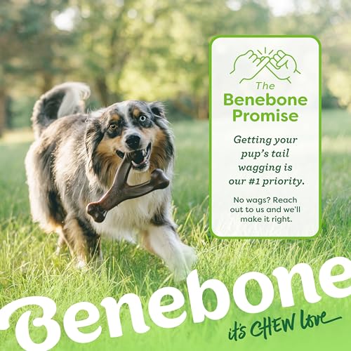 Benebone Wishbone Dog Chew Toy for Aggressive Chewers, Real Bacon, Tiny - size: Tiny