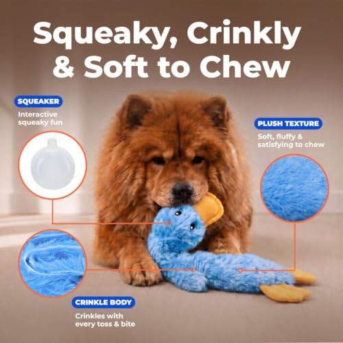 Best Pet Supplies Interactive Squeaky Dog Toy - Crinkle Duck, Blue - color: Crinkle Duck (Blue), size: Large