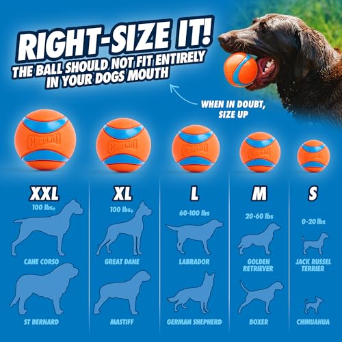 Chuckit! Dog Ball Launcher, Junior 18in, Medium 2.5in Ball - size: 18in, style: Junior