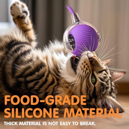 Rocfish Durable Interactive Cat Toys for Indoor Cats (Purple, 01) - color: purple01, size: 01