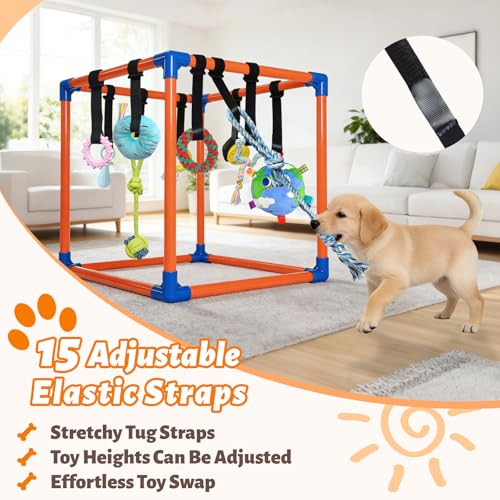 Puppy Play Gym with 15 Hanging Toys for Small Dogs, PVC Frame with Bungee Straps, Interactive Indoor Jungle Playground for Entertainment, Teething and Mental Stimulation - color: Orange, size: 15 Toys