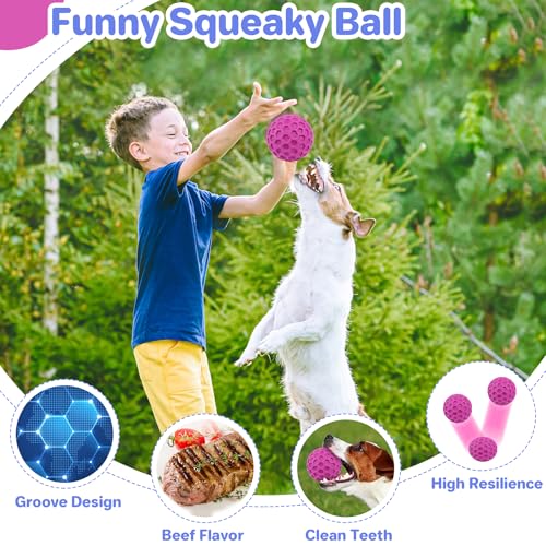 DISSKNIC Tough Squeaky Dog Balls Puppy Toys, Interactive Dog Toys for Small Dogs, Puppy Chew Toys for Teething and Relax, Dogs Chew Toy Small Balls Dog Toys for Small Breed, Outdoor Dog Toy for Dogs - color: Rose Red, size: Small