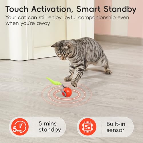 Potaroma Moving Ball Cat Toys with Feather Tail, Rechargeable