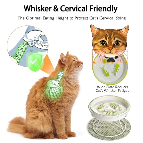 Ceramic Elevated Slow Feeder Cat Bowl, Anti Vomit, Removable Dish, Green - color: Green