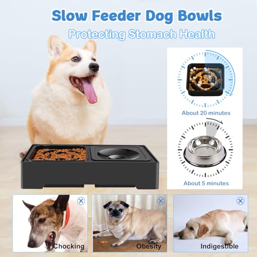 2-in-1 Elevated Dog Bowls, No Spill Water Bowl, Slow Feeder Food Bowl - size: Slow Feeder