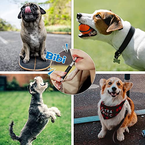 Dog Whistle to Stop Barking, 2 Pack Ultrasonic Silent Adjustable Training Whistle with Lanyard (Black)